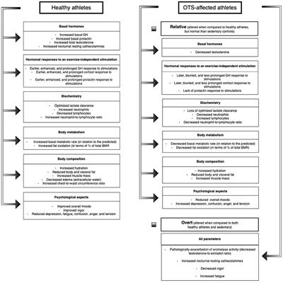 Inter-correlations Among Clinical, Metabolic, and Biochemical Parameters and Their Predictive Value in Healthy and Overtrained Male Athletes: The EROS-CORRELATIONS Study